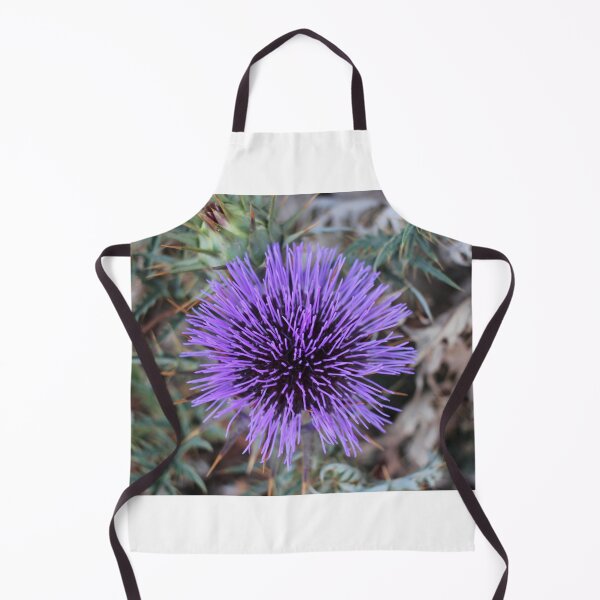Item preview, Close-Up Of Purple Thistle Flower With Spiky Leaves And Dry Background Botanical Study designed and sold by Nmallia.