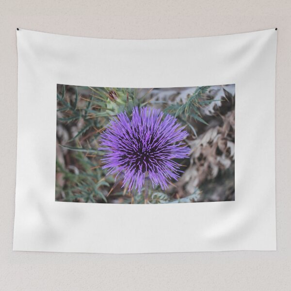 Item preview, Close-Up Of Purple Thistle Flower With Spiky Leaves And Dry Background Botanical Study designed and sold by Nmallia.