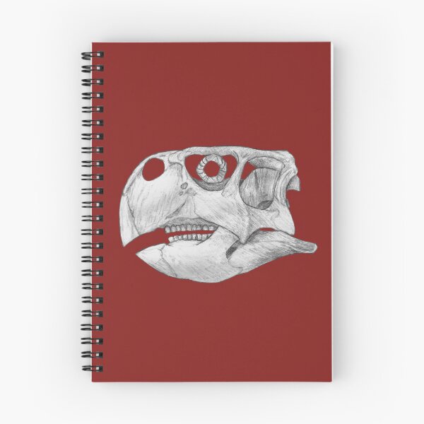 Item preview,  Psittacosaurus Skull designed and sold by DoodleSnake58.