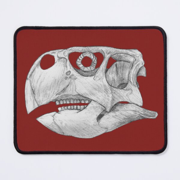 Item preview,  Psittacosaurus Skull designed and sold by DoodleSnake58.