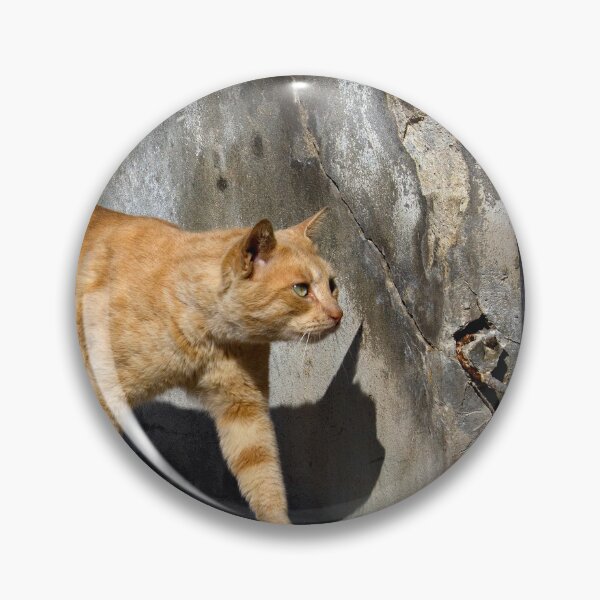 Item preview, Red cat in Burano (Venice - Italy) designed and sold by Raffaella Lunelli.