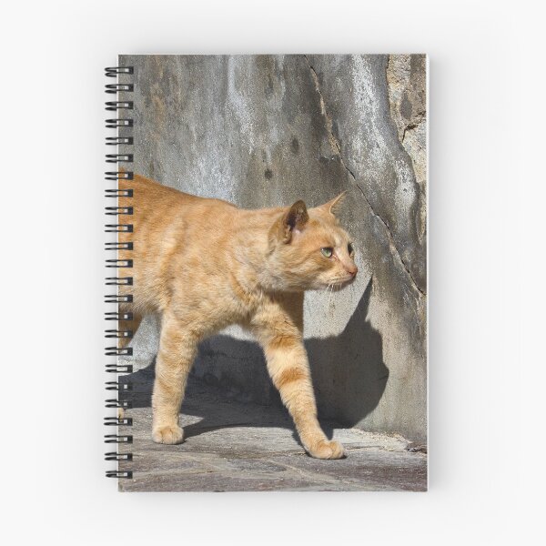 Item preview, Red cat in Burano (Venice - Italy) designed and sold by Raffaella Lunelli.
