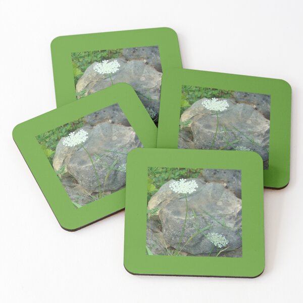 Item preview, Queen Anne's Lace designed and sold by PaulineHoward.