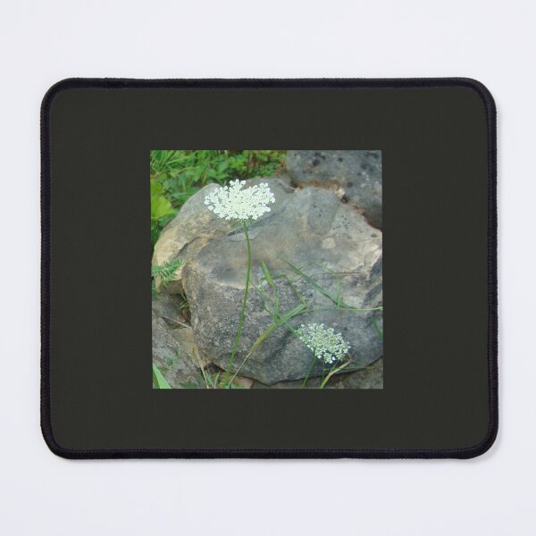 Item preview, Queen Anne's Lace designed and sold by PaulineHoward.