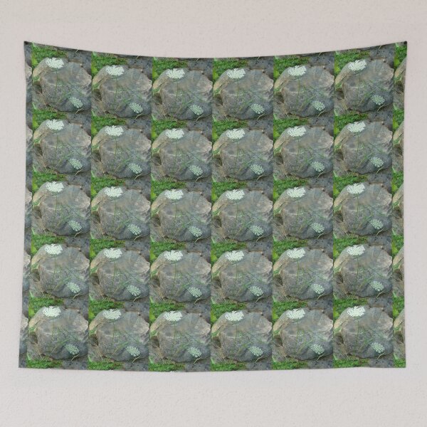 Item preview, Queen Anne's Lace designed and sold by PaulineHoward.