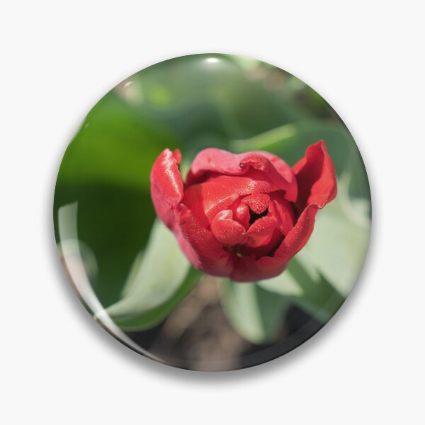 Item preview, Dewy Red Tulip with Curly Leaves designed and sold by Georgia Mizuleva.