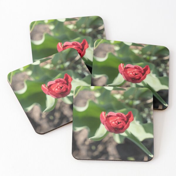 Item preview, Dewy Red Tulip with Curly Leaves designed and sold by Georgia Mizuleva.