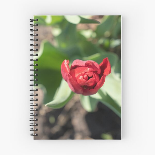 Item preview, Dewy Red Tulip with Curly Leaves designed and sold by Georgia Mizuleva.