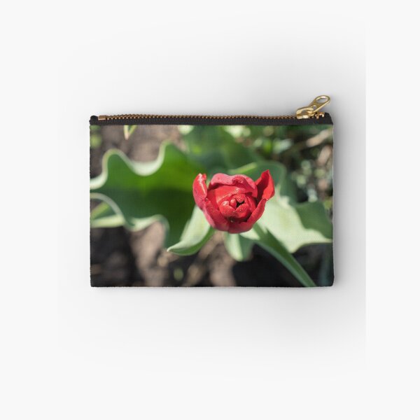Item preview, Dewy Red Tulip with Curly Leaves designed and sold by Georgia Mizuleva.