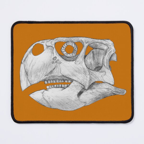 Item preview, Psittacosaurus Skull designed and sold by DoodleSnake58.