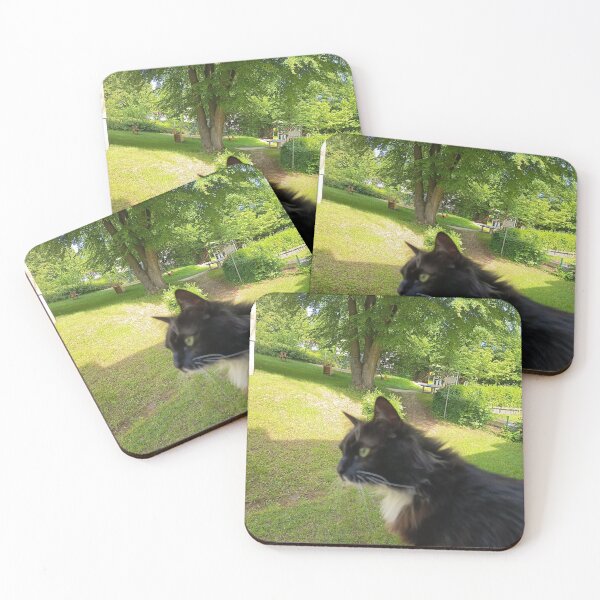 Artikelvorschau, Black Cat Nature Aesthetic entworfen und verkauft von PhuongVoArt.