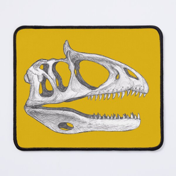 Item preview, Copy of Cryolophosaurus Skull designed and sold by DoodleSnake58.