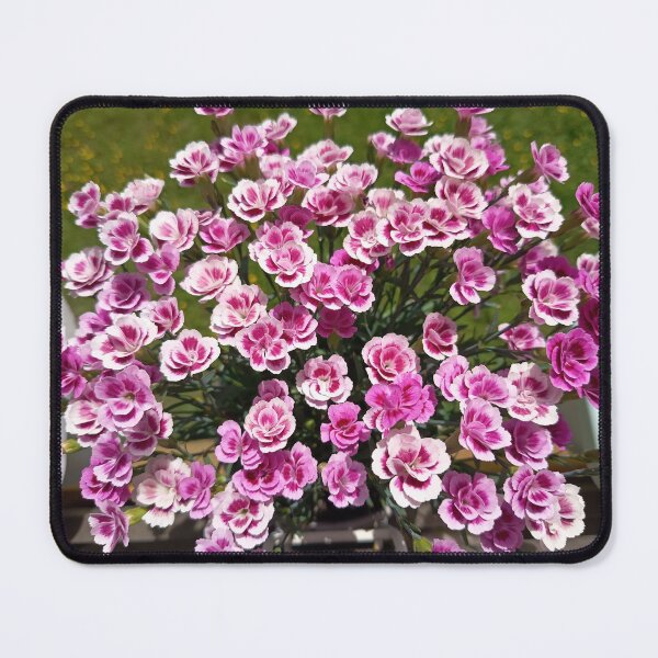 Item preview, Pink Carnation Flower Aesthetic | Floral Garden Bloom Art designed and sold by PhuongVoArt.