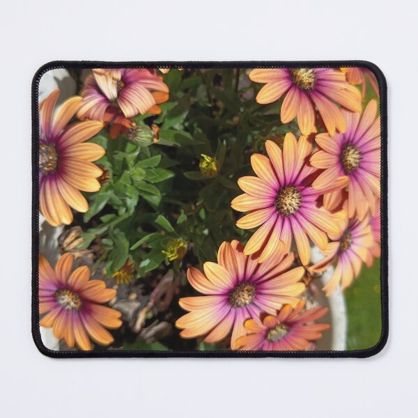 Item preview, Sunset Daisy Flowers | Orange Purple Floral Aesthetic designed and sold by PhuongVoArt.