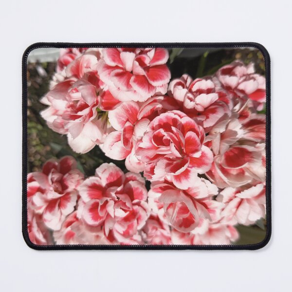 Item preview, Red White Carnation Flowers | Romantic Floral Aesthetic designed and sold by PhuongVoArt.