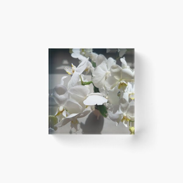 Item preview, White Orchid Flowers | Elegant Floral Aesthetic designed and sold by PhuongVoArt.