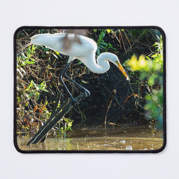 Item preview, Great Egret With Two Fish designed and sold by Pondside-Pics.