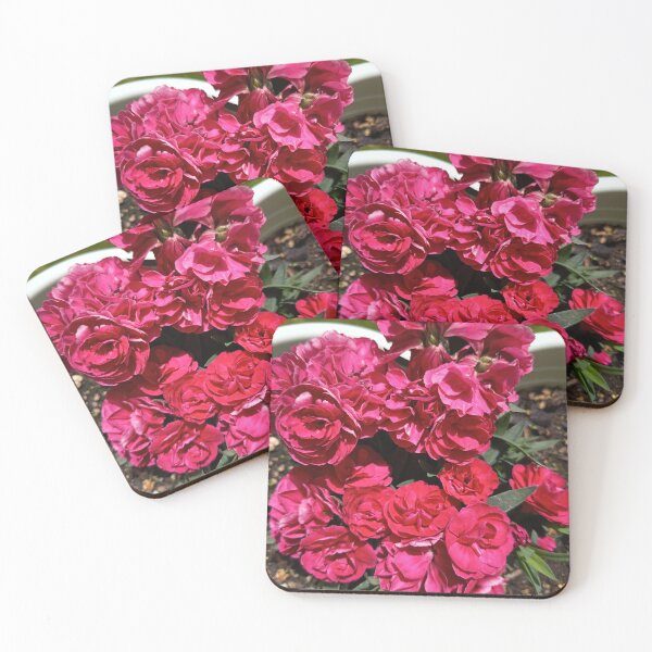 Item preview, Hot Pink Carnation Flowers | Bold Floral Garden Aesthetic designed and sold by PhuongVoArt.