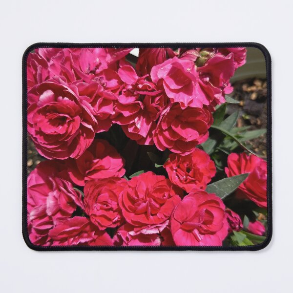 Item preview, Hot Pink Carnation Flowers | Bold Floral Garden Aesthetic designed and sold by PhuongVoArt.