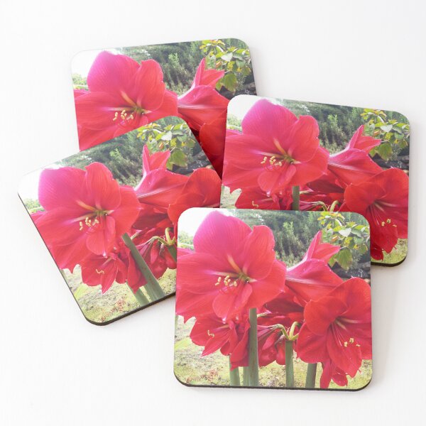 Item preview, red amaryllis designed and sold by birgitsfotoshop.