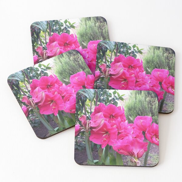 Item preview, Amarilis rosa designed and sold by birgitsfotoshop.