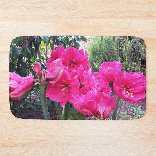 Item preview, Amarilis rosa designed and sold by birgitsfotoshop.
