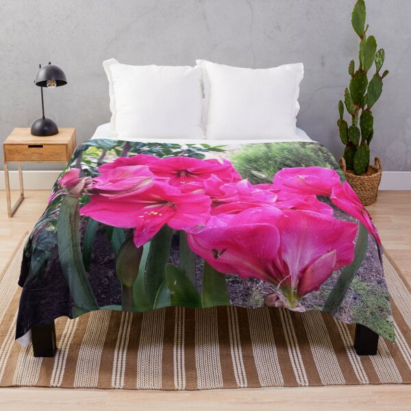 Item preview, Amaryllis pink designed and sold by birgitsfotoshop.