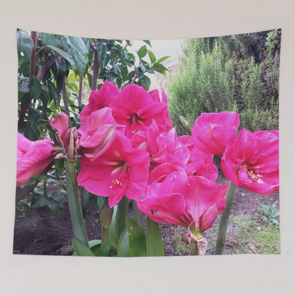 Item preview, Amarilis rosa designed and sold by birgitsfotoshop.