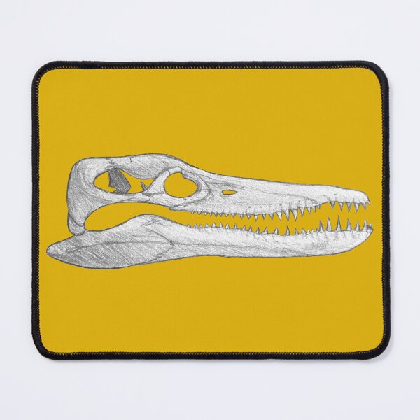 Item preview, Pleiosaurus Skull designed and sold by DoodleSnake58.