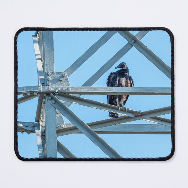 Item preview, Black Vulture on a Power Tower designed and sold by Pondside-Pics.