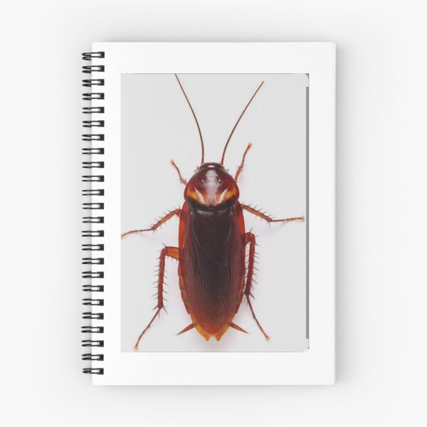 Item preview, Great we've cockroach  designed and sold by Yuvilavi.