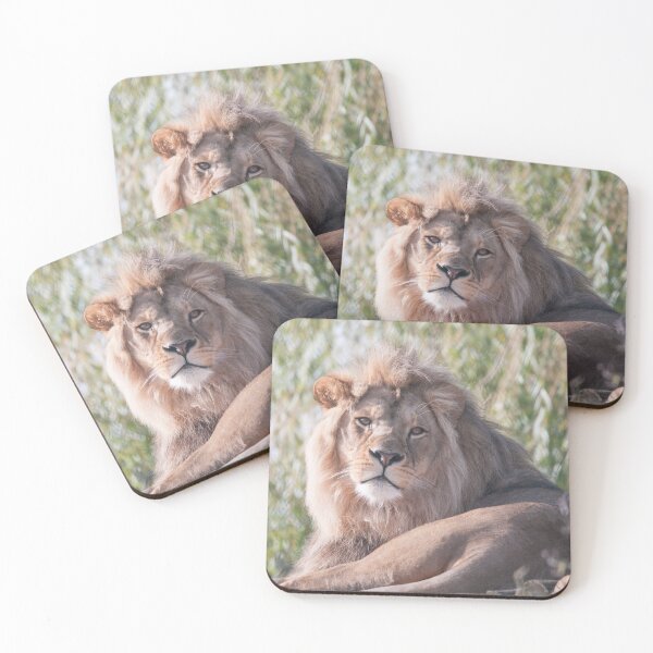 Item preview, Lion Photography  designed and sold by NatashaBalletta.