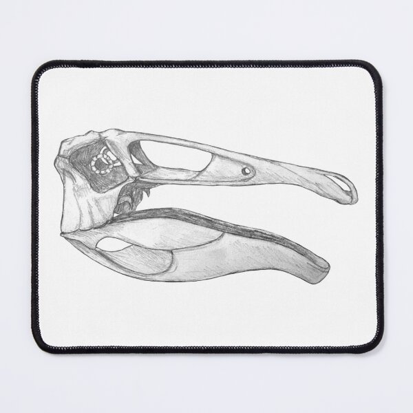 Item preview, Deinocheirus Skull designed and sold by DoodleSnake58.
