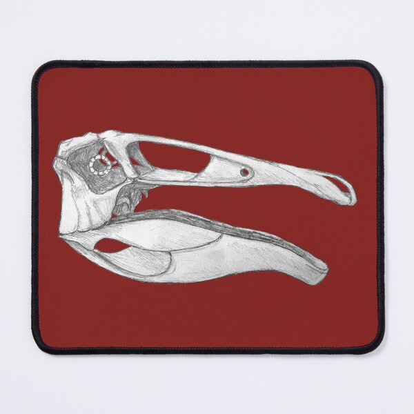Item preview, Deinocheirus Skull designed and sold by DoodleSnake58.