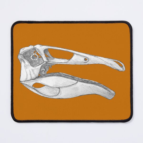 Item preview, Deinocheirus Skull designed and sold by DoodleSnake58.