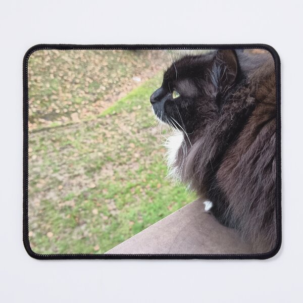 Item preview, Black Fluffy Cat Watching Nature designed and sold by PhuongVoArt.