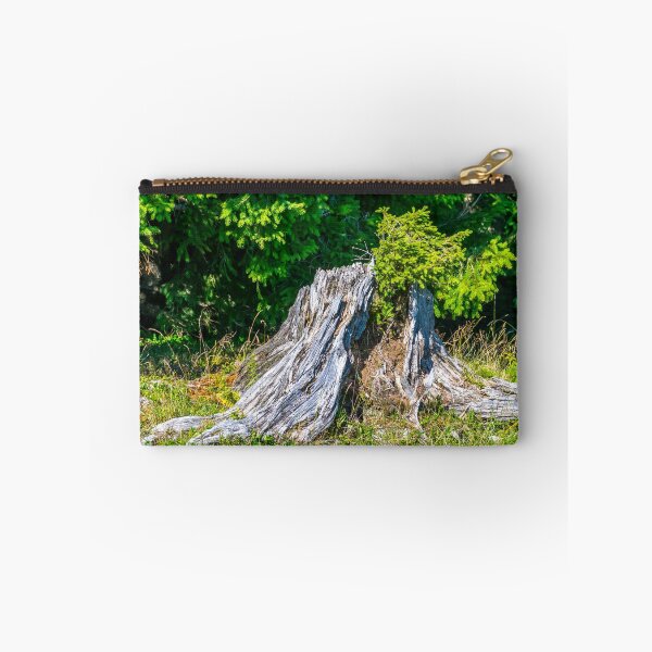 Item preview, Tree Stump with Conifer Branch designed and sold by Radibor78.