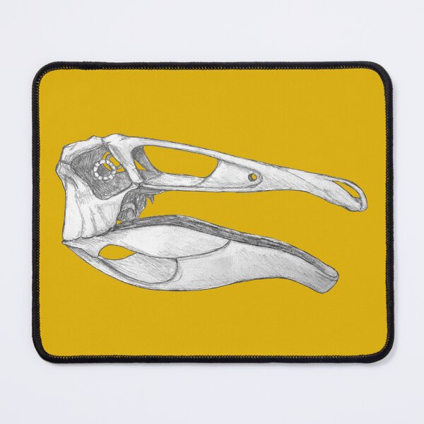 Item preview, Deinocheirus Skull designed and sold by DoodleSnake58.