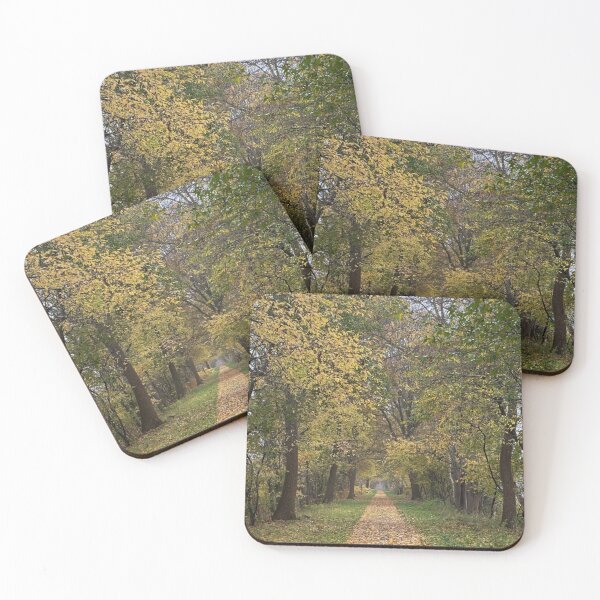 Item preview, Autumn Forest Path Collection – Sacred Grove Series designed and sold by ALWAHO.