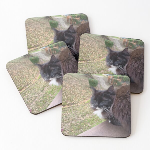 Item preview, Majestic Black and White Fluffy Cat designed and sold by PhuongVoArt.