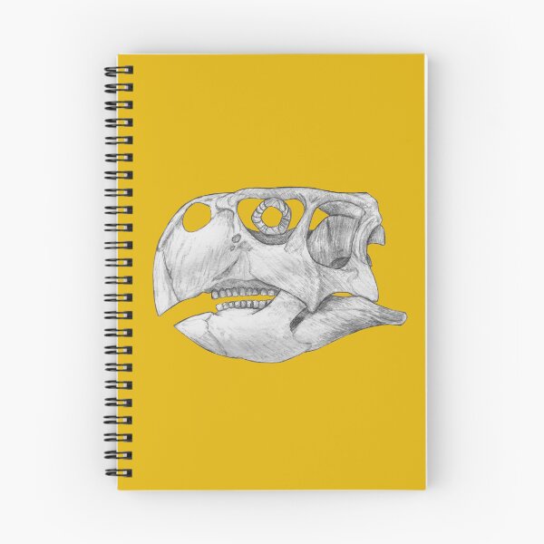 Item preview, Psittacosaurus Skull designed and sold by DoodleSnake58.