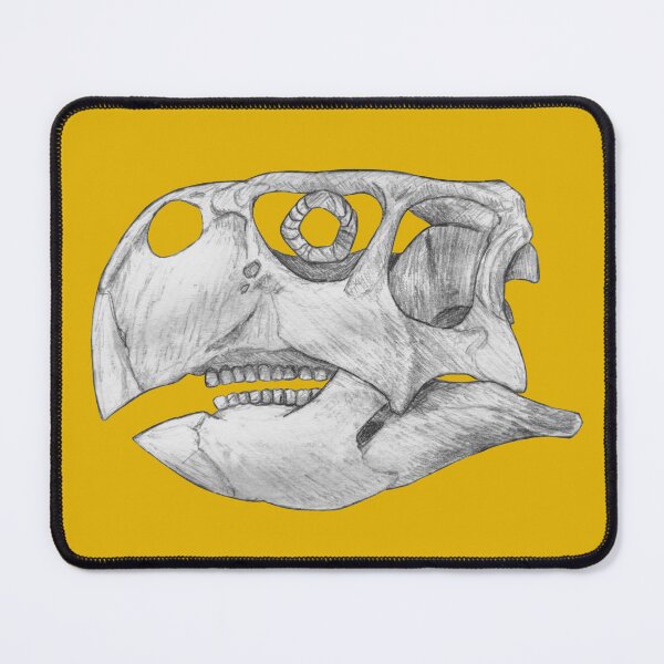 Item preview, Psittacosaurus Skull designed and sold by DoodleSnake58.