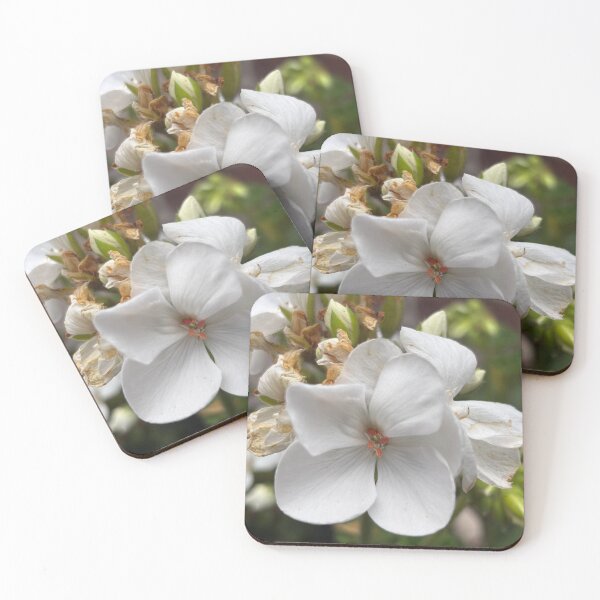 Item preview, White Geranium flower designed and sold by vanessaNotes.