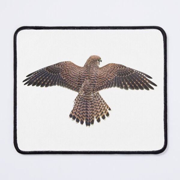 Item preview, Bird of Prey designed and sold by Winking-Kitten.