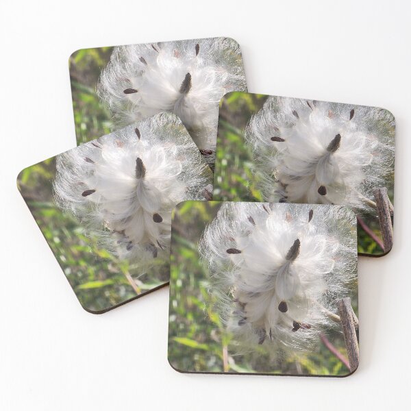 Item preview, Milkweed in the Breeze designed and sold by Rosebughive Photography.