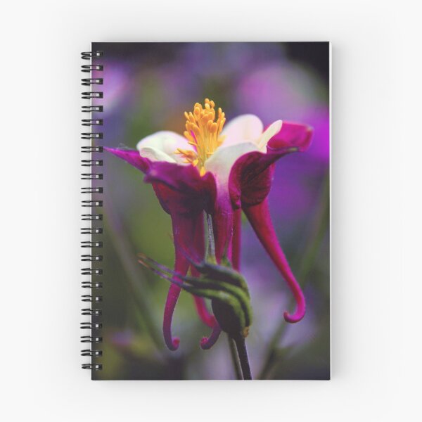 Item preview, Purple Petal Columbine designed and sold by Jessica Jenney.