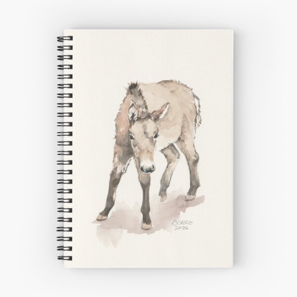 Item preview, Mongolian wild horse filly - curious girl! designed and sold by BeauScience.