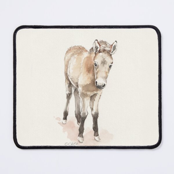 Item preview, Mongolian wild horse filly 1 designed and sold by BeauScience.