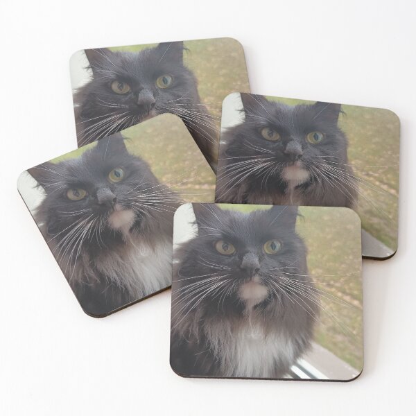 Item preview, Cute Fluffy Black Cat Portrait designed and sold by PhuongVoArt.