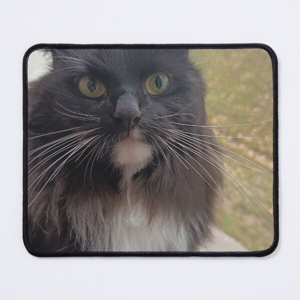 Item preview, Cute Fluffy Black Cat Portrait designed and sold by PhuongVoArt.